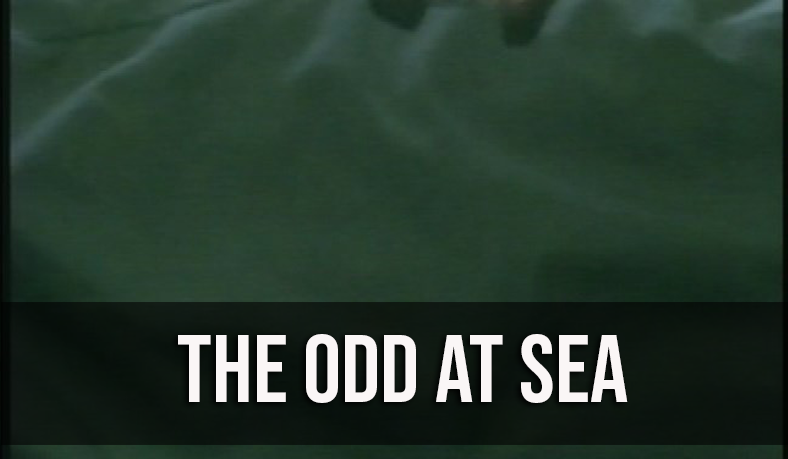 The Odd at Sea