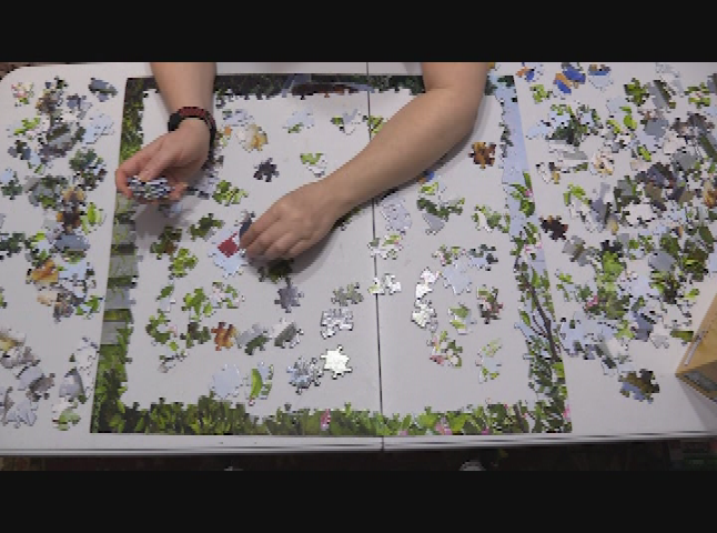 Puzzled: Special Delivery