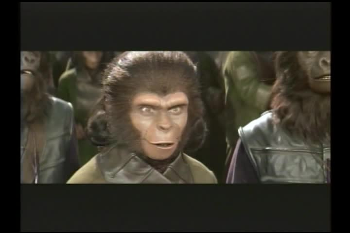 Haunted Hotel Isle of the Dead