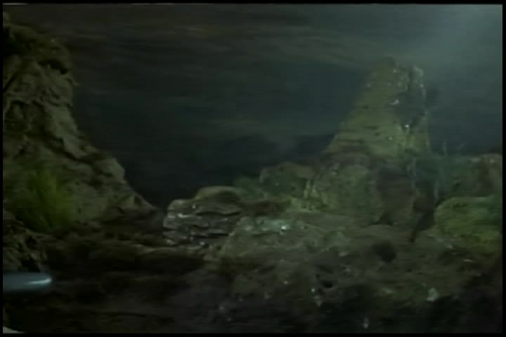 Stingray: The Man From the Navy S3 E3