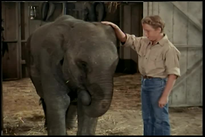 The Adventures of Superman: The Stolen Elephant s5e11