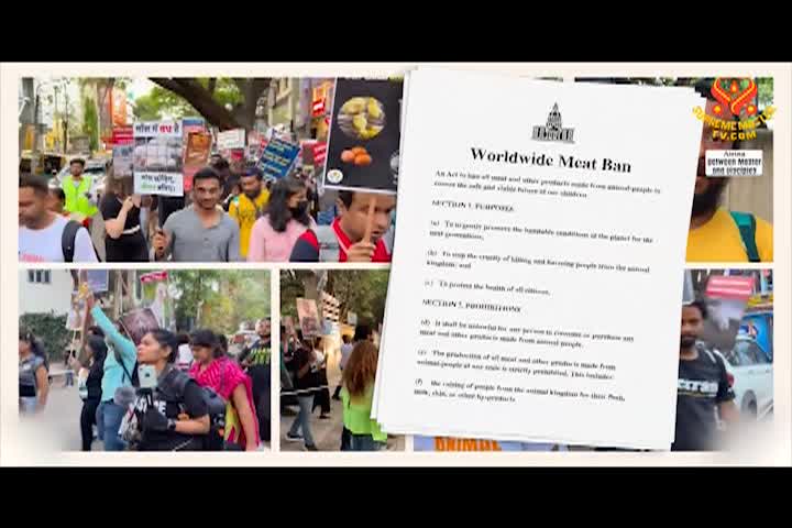 Supreme Master TV - 05-05-480p-60m