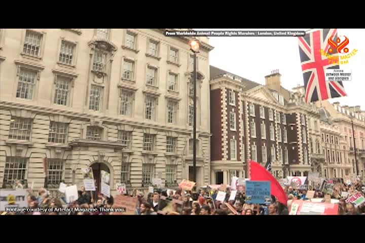 Supreme Master TV - 12-08-480p-60mb